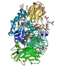 enzyme-filtration-bacteria