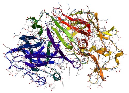 enzyme-filtration-structure