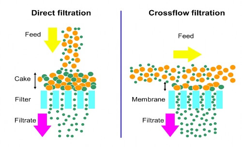 filtração-cruzada-filtração-direta-proteína-de-plantas